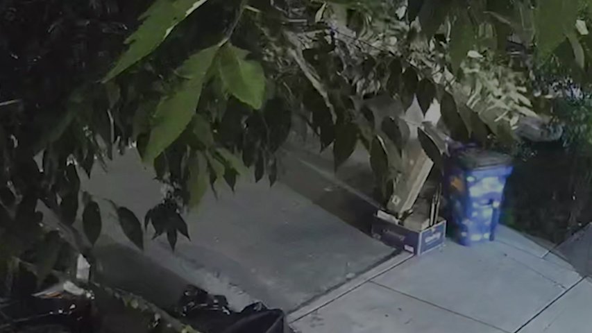 Video thumbnail for 'It appears that we have a black market.' Official NYC trash and recycling bins stolen from Crotona Park home
