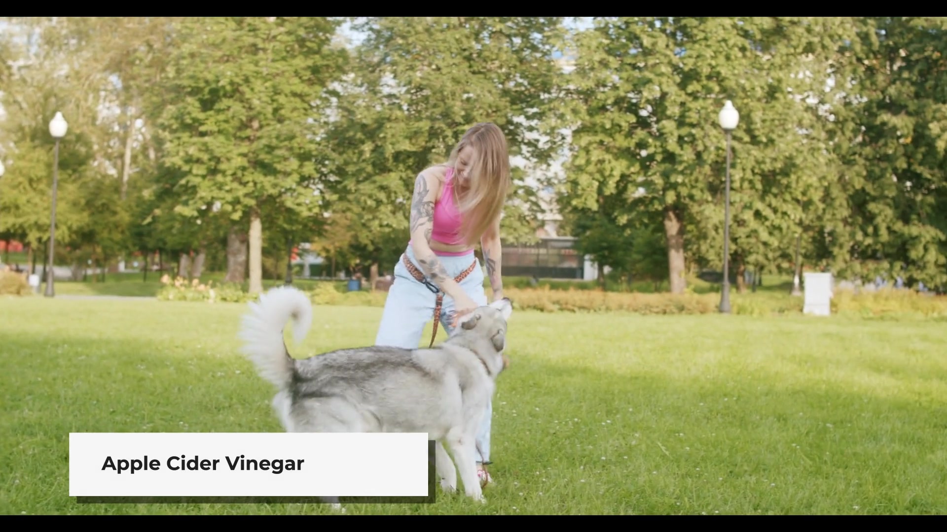 Video thumbnail for 15 Natural Home Remedy For Fleas