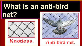 'Video thumbnail for What is an anti-bird net?/What is balcony safety net?'