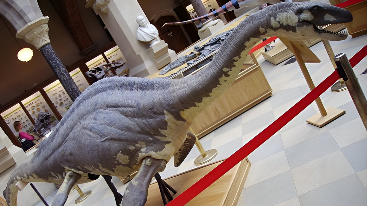Video thumbnail for A closer look at the real animals behind the world's legendary beasts
