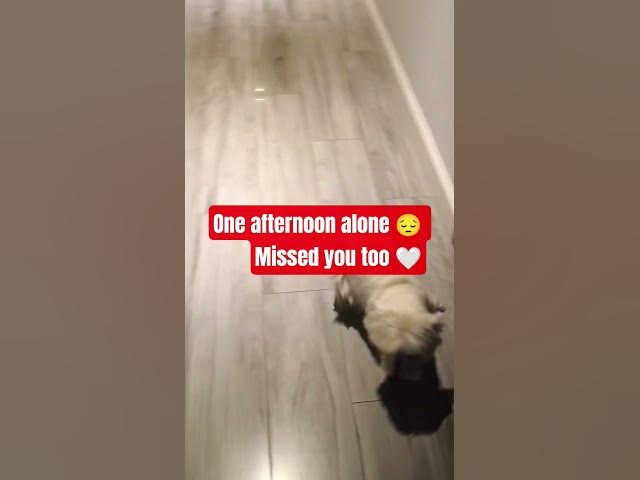 Video thumbnail for Missed you too π€