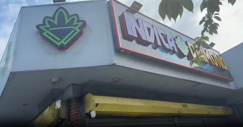 Video thumbnail for Bronx dispensary accused of selling unlicensed cannabis products
