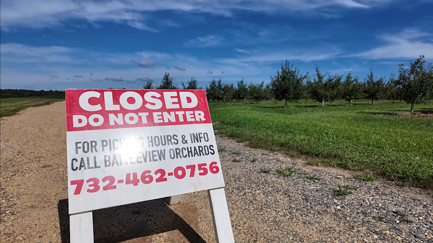 Video thumbnail for Devastating spring freeze wipes out apple crop at Freehold's Battleview Orchards