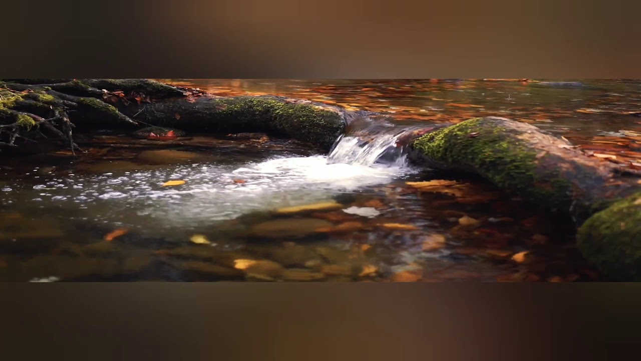 Video thumbnail for 1HOUR Zen Meditation Music/Zen Music for Balance and Relaxation/Zen Music for Sleep- Relax Mind