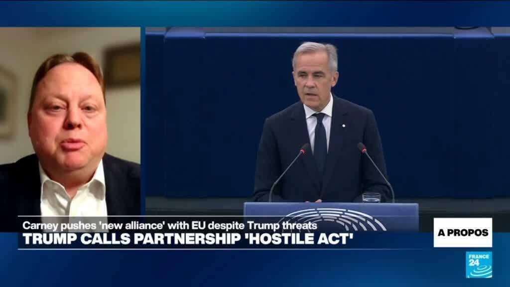 Video thumbnail for The Canada-EU partnership 'a classic win-win situation', economist says