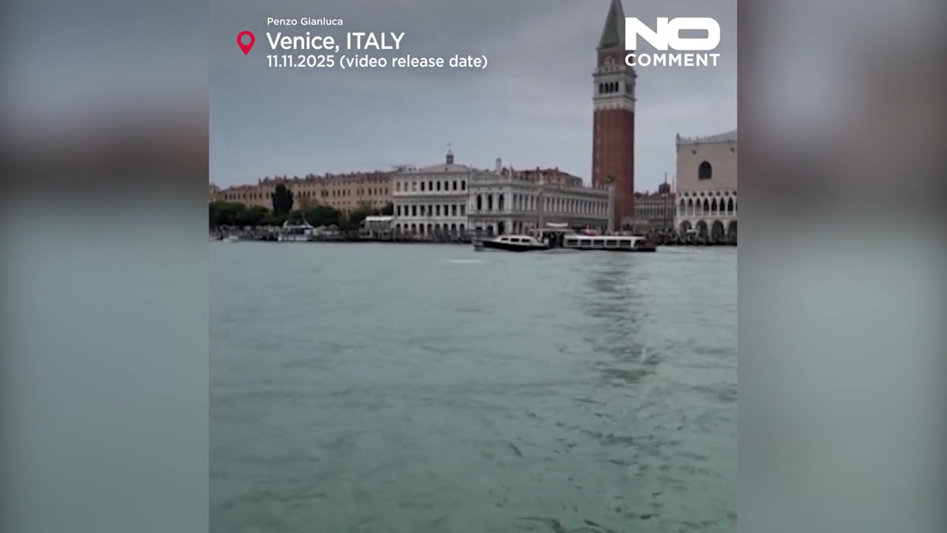 'Video thumbnail for Dolphin Mimmo thrills Venice but faces danger in the lagoon'