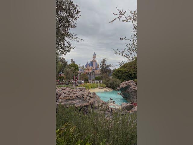 Video thumbnail for A Lovely View at Disneyland Today!