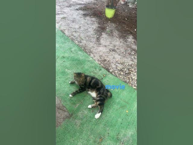 Video thumbnail for September 20, 2025