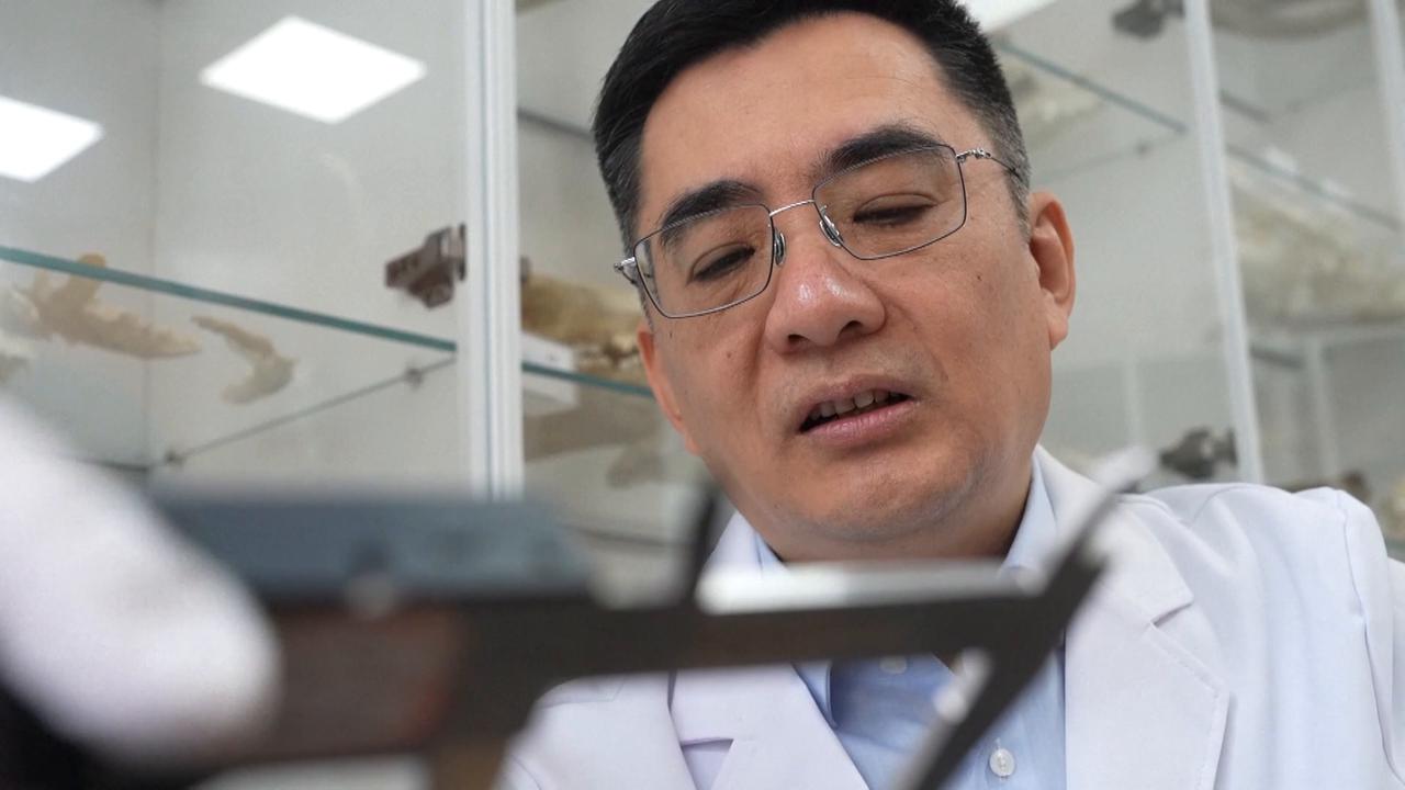 Video thumbnail for China: China-U.S. researchers rebuild extinct ancient horse in 3D.