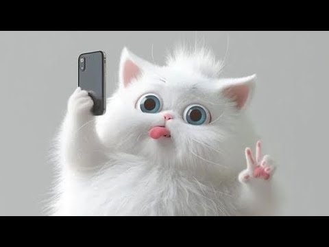 Video thumbnail for Cat store sad 😞 I am 🥺#subscribe #cat #kittty #catlover #cute #catty #love #music #kucing #catmusic