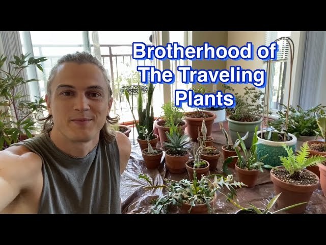 Video thumbnail for Brotherhood of the Traveling Plants - What Plants are worthy of bringing cross country