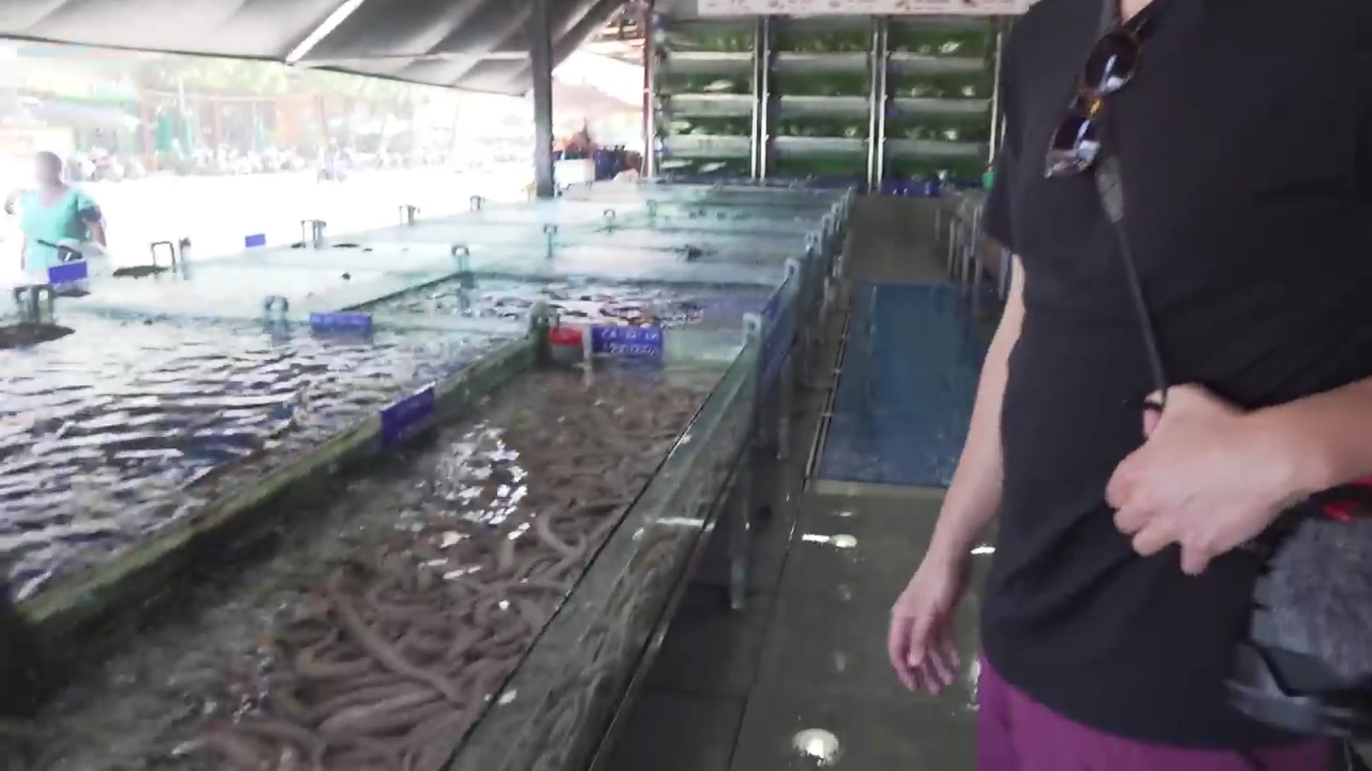 Video thumbnail for Alien Seafood NIGHTMARE Grilled Cheese Sandwich (720P HD)