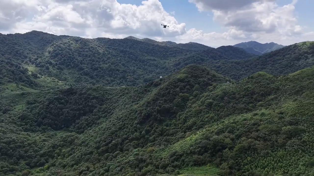 Video thumbnail for China: Drones and Monorails Modernize Bamboo Harvest in Zunyi.