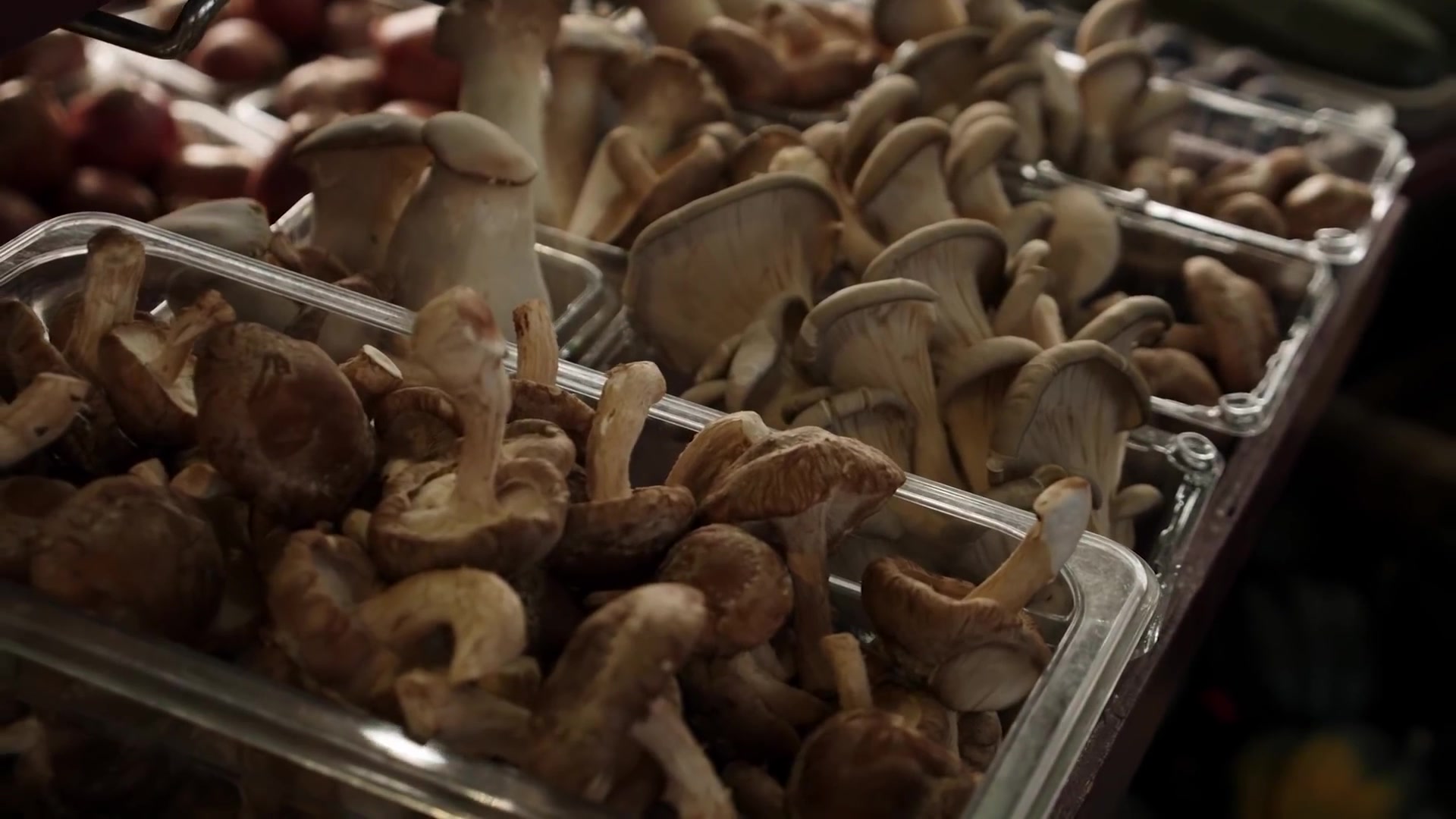 Video thumbnail for False Facts About Mushrooms Everyone Actually Believes