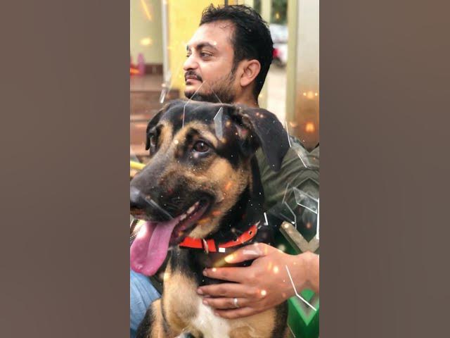 Video thumbnail for #pets #pet #petlove #dusky #randomclicks