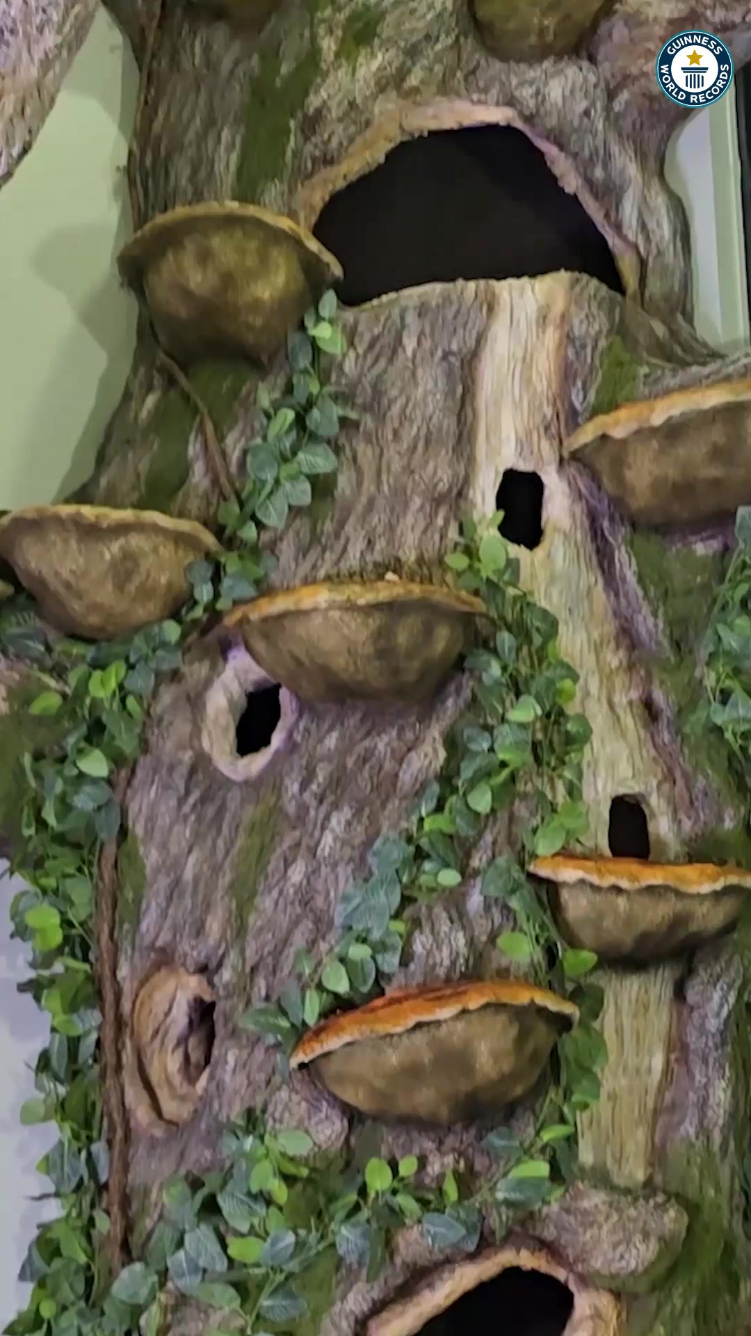 'Video thumbnail for Tallest residential cat-scratching tree - 4.9m (16 ft 1 in) by Will Powers'