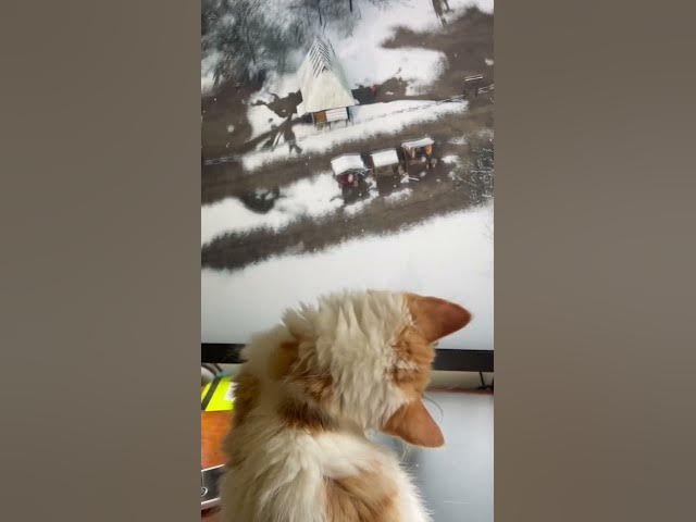 Video thumbnail for When your cat loves Manor lords more than you do. 😅