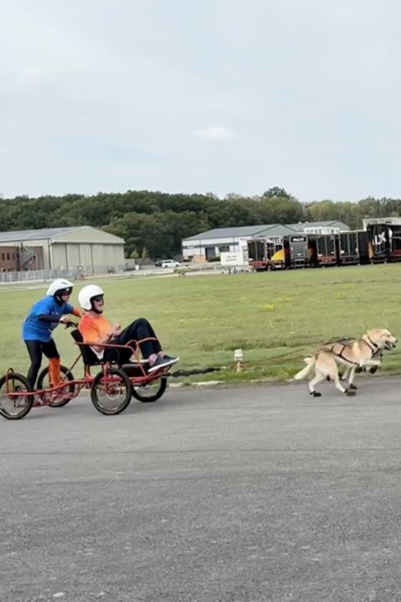Video thumbnail for Greatest distance for a two-person vehicle pulled by dogs in one minute  568.57 m (1,65.38 ft) by Vickie Pullen and Paul Jameson