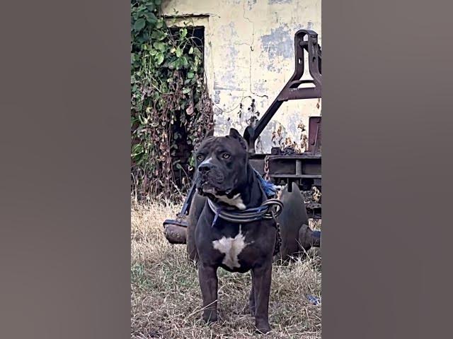 Video thumbnail for 2 March 2025