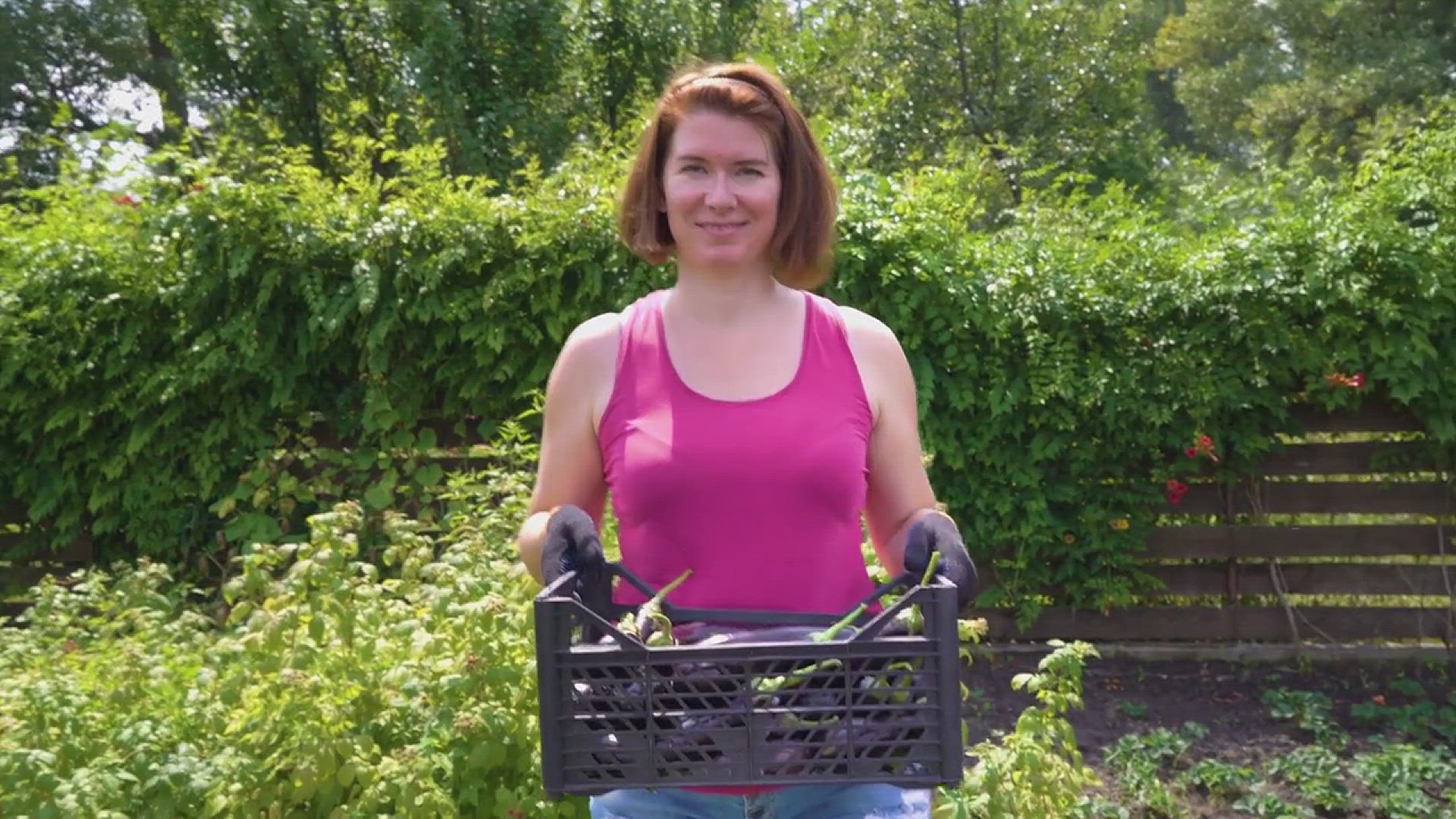 'Video thumbnail for Tips for Growing Eggplant in Your Garden'
