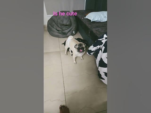 Video thumbnail for July 10, 2025