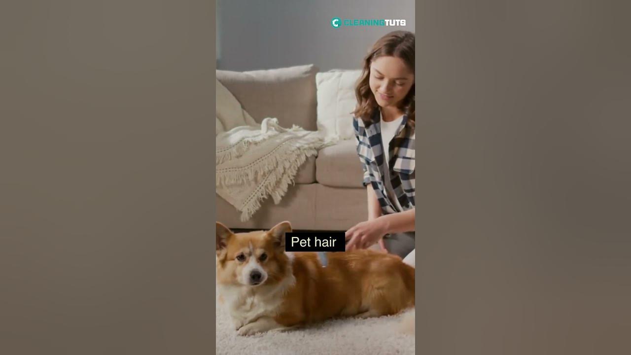 Video thumbnail for Why Do the Clothes in My Drawers Smell? | #shorts