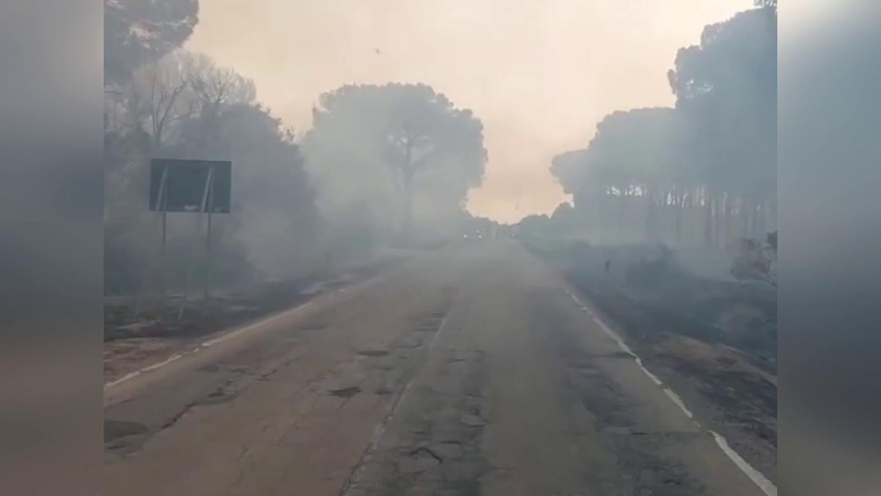Video thumbnail for Italy: Fire Crews Battle Coastal Pine Forest Blaze In Sardinia.