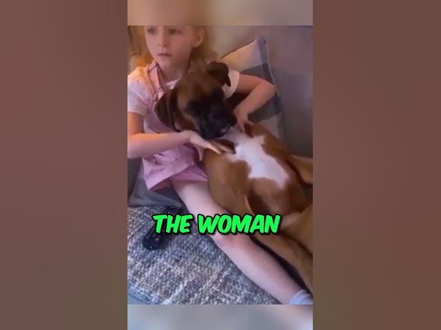Adorable Dog Massage Session - Pure Bliss! 🌼🐩