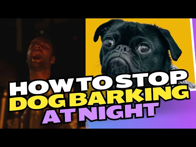 Video thumbnail for How To Stop Dog Barking At Night
