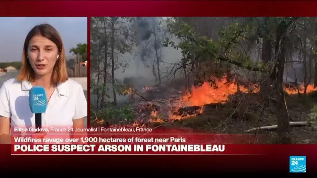 Video thumbnail for French police suspect arson in Fontainebleau forest near Paris