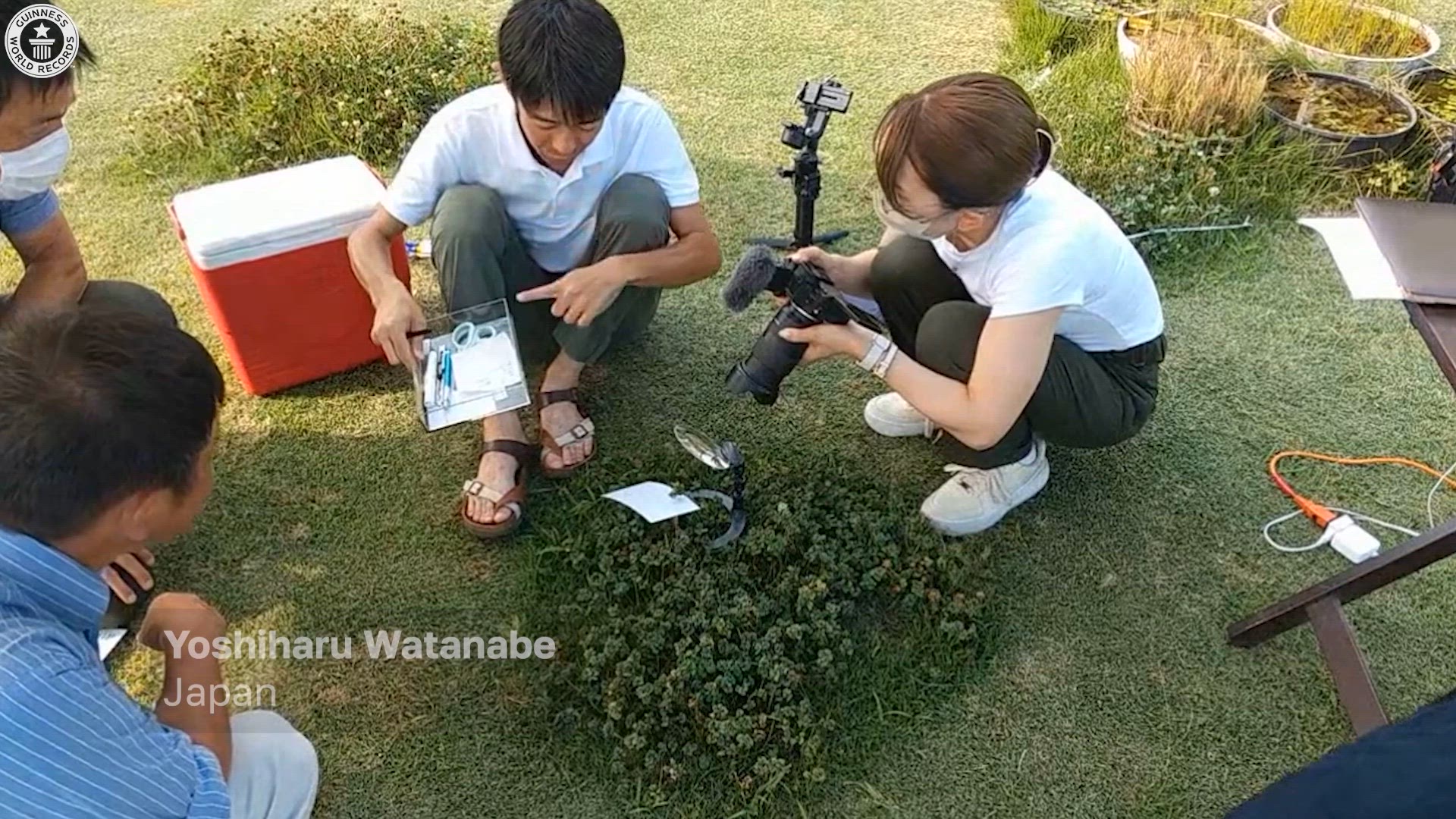 'Video thumbnail for Most leaves on a clover'