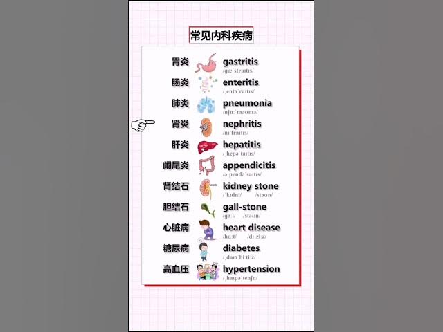 Video thumbnail for English Vocabulary Words - Humans Organs Vocabulary - English for Beginners