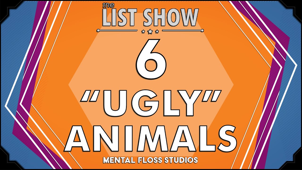Video thumbnail for 6 Beautifully Ugly Animals | Mental Floss