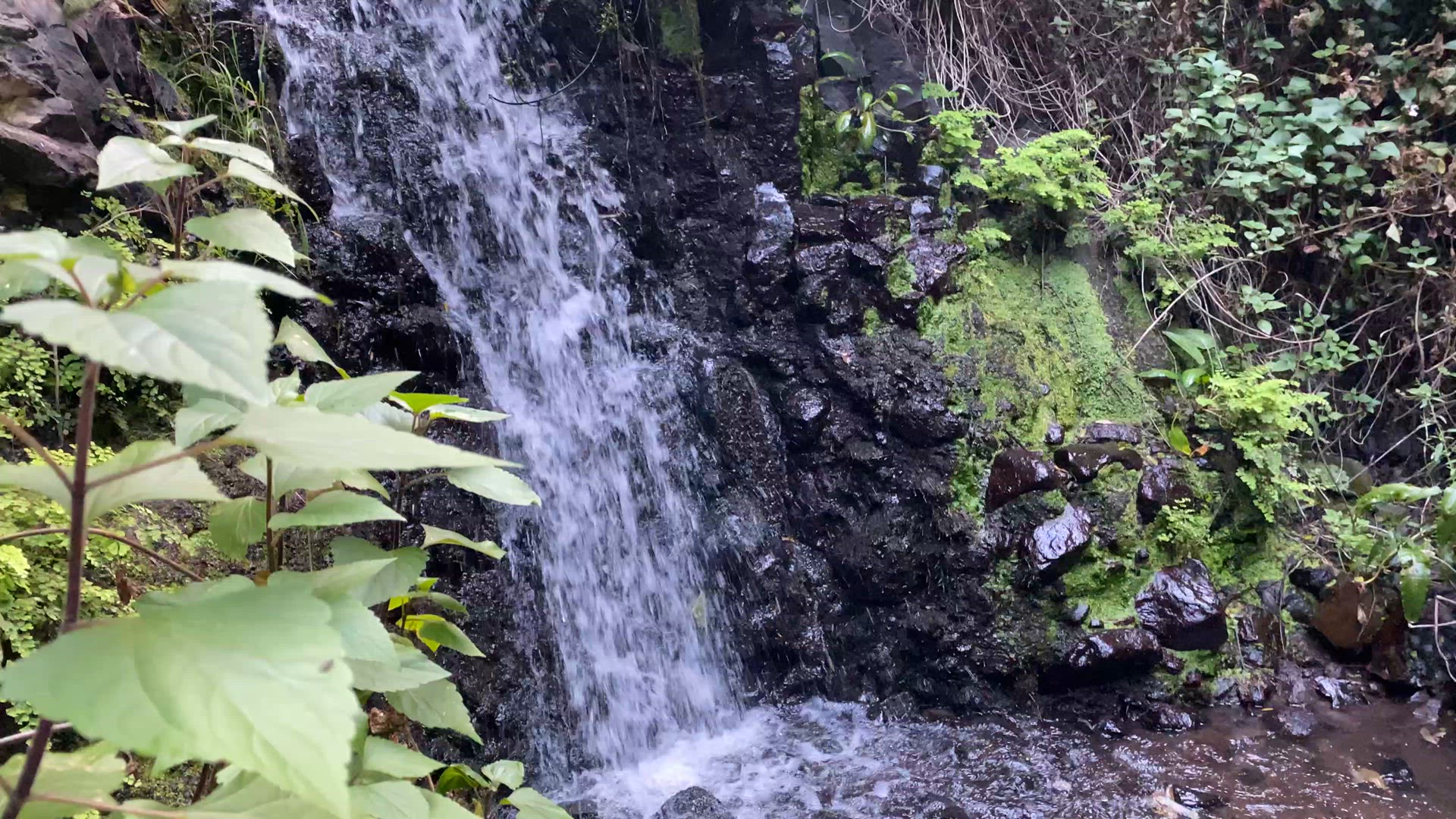 'Video thumbnail for Wasserfall im Barranco de los Cernícalos'