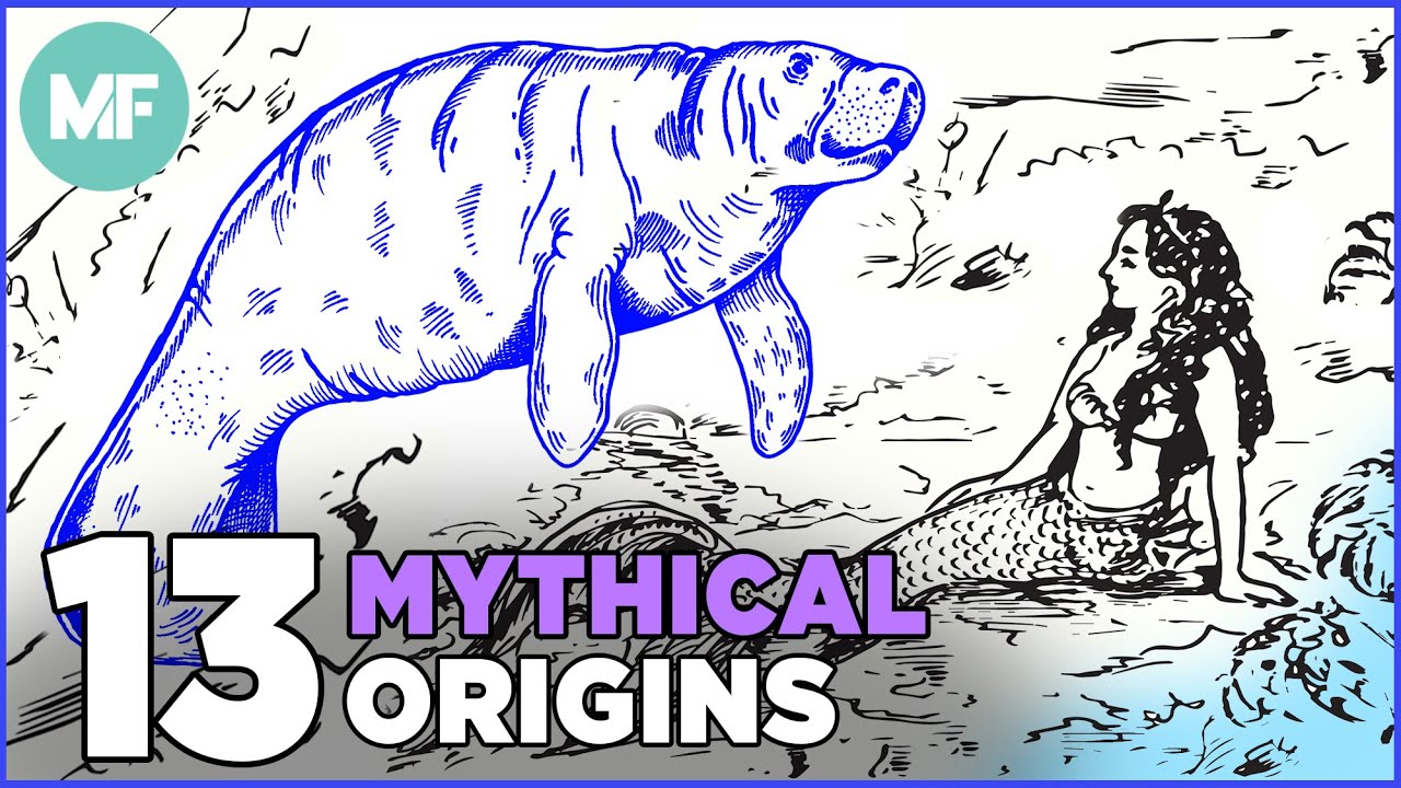 Video thumbnail for The Real Origins of 13 Mythical Creatures | Mental Floss