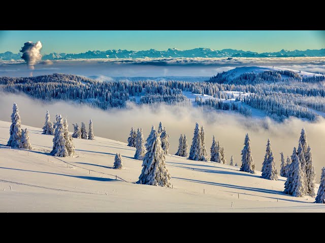 Video thumbnail for For everything there is a season, and a time for every matter under heaven.