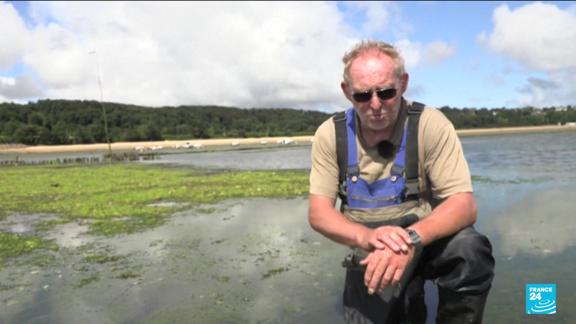 'Video thumbnail for France: Green algea threatens the oyster industry in Brittany'