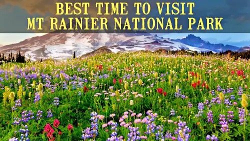 'Video thumbnail for Best Time to Visit Mount Rainier National Park: Complete Guide'