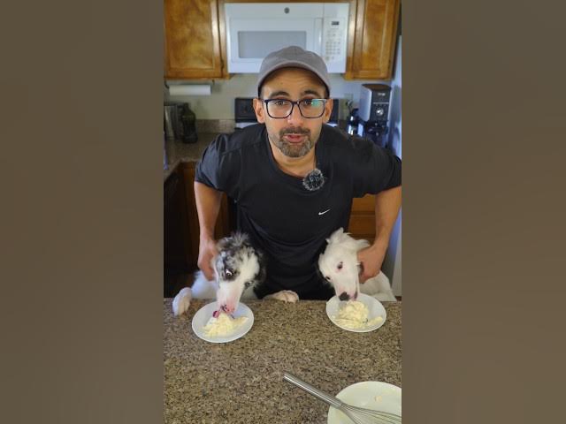 Video thumbnail for Dog's Birthday Day 🎉