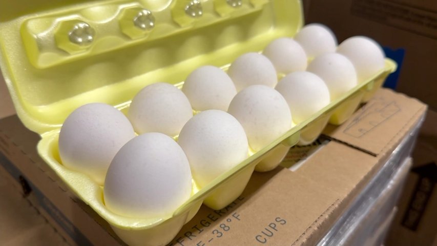 Video thumbnail for Long Island food banks receive 972,000 eggs through settlement, helping families facing food insecurity