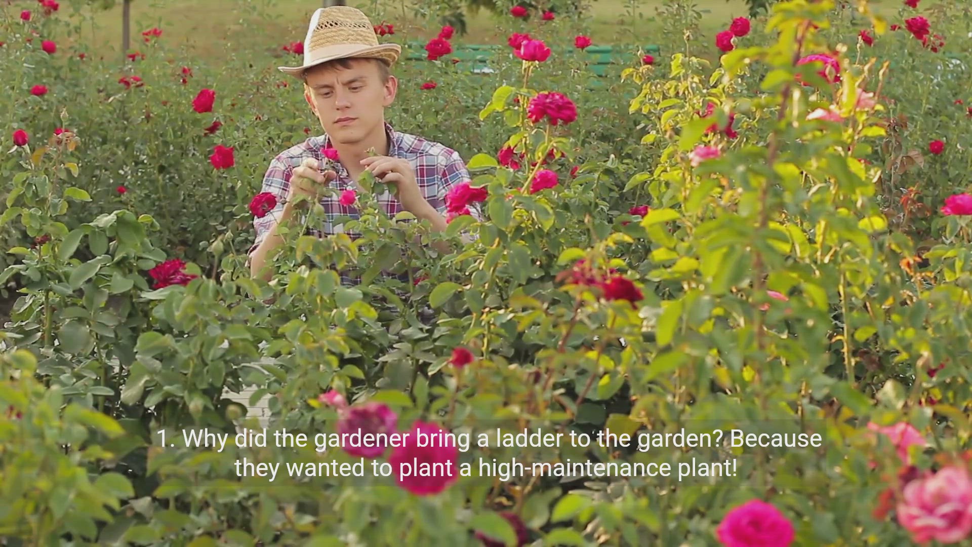 'Video thumbnail for 50 Blooming Good Gardening Jokes to Make Your Day!'