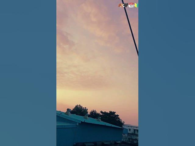 Video thumbnail for 12 September 2025