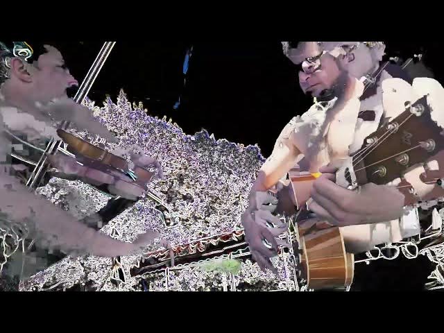 Video thumbnail for IDENTICAL GENITALS-  LIL MAGGIE