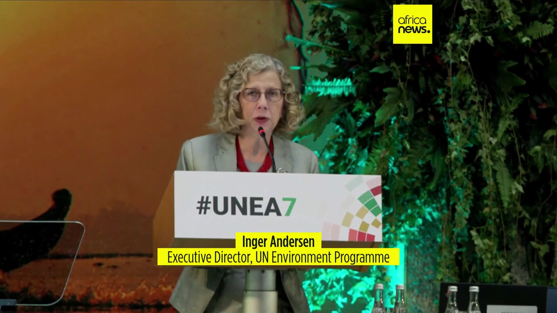 Video thumbnail for Nairobi hosts urgent UN talks on planet in crisis