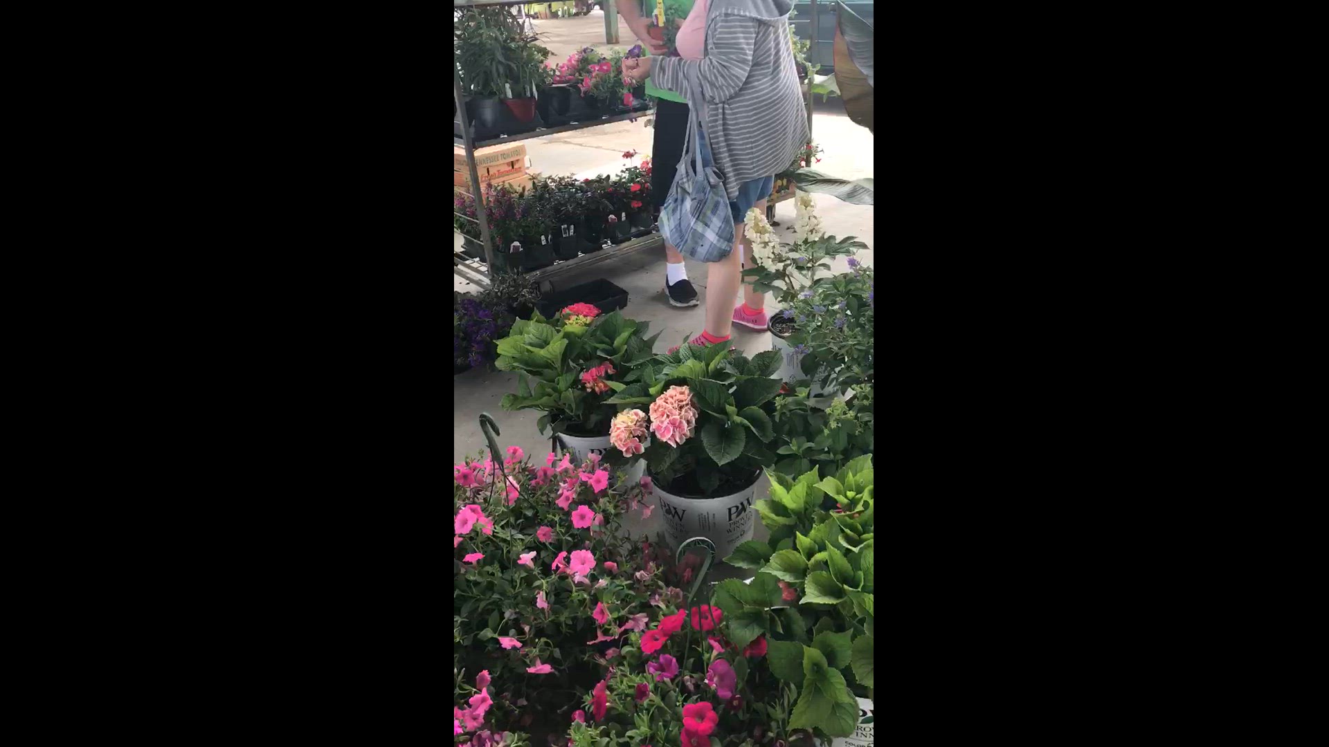 'Video thumbnail for Farmers Market'