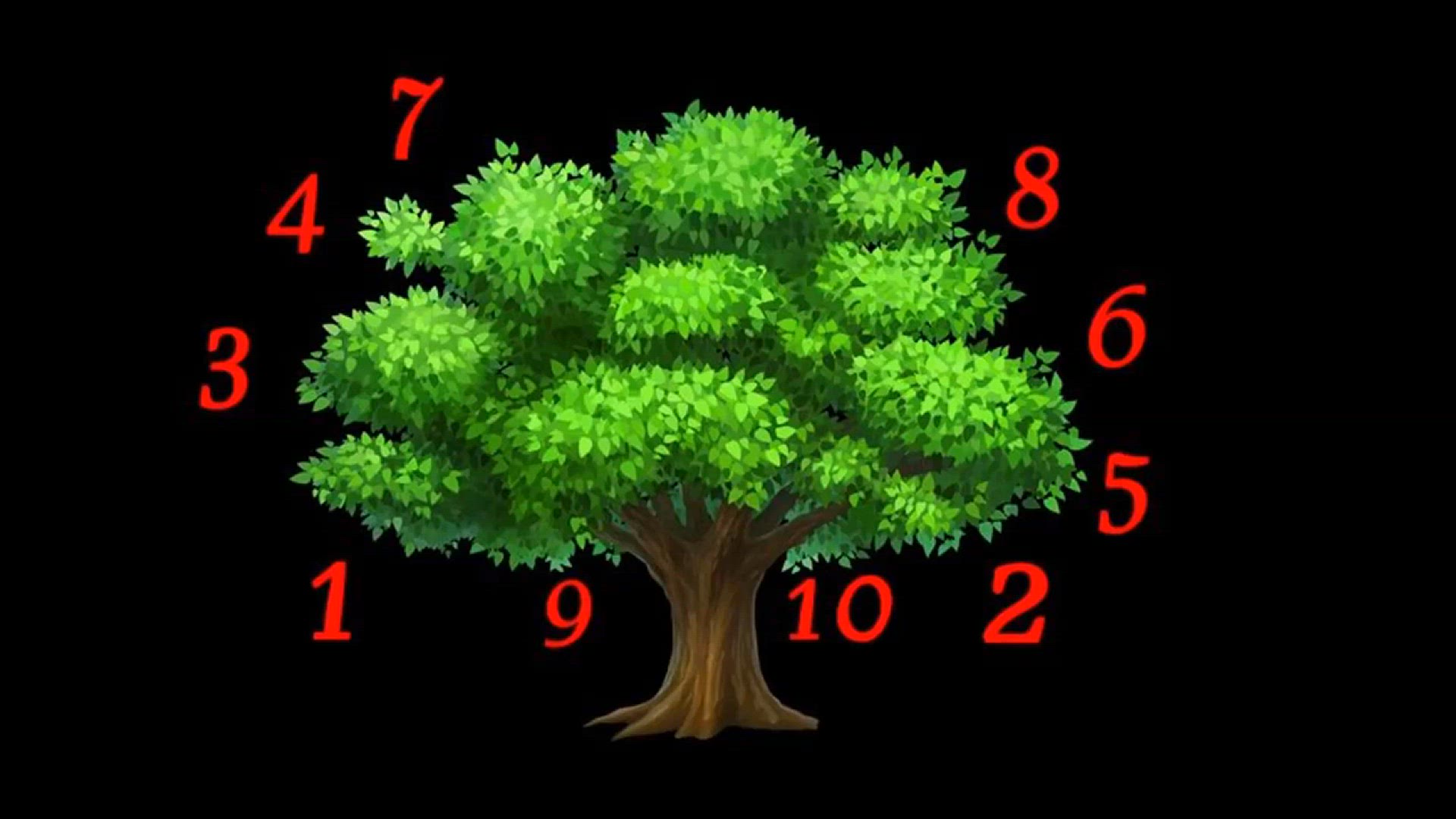 Video thumbnail for ČAROBNO DRVO ISPUNJAVA ŽELJE – Zamislite ŽELJU, odaberite jedan BROJ i saznajte kada će se OSTVARITI ŽELJA