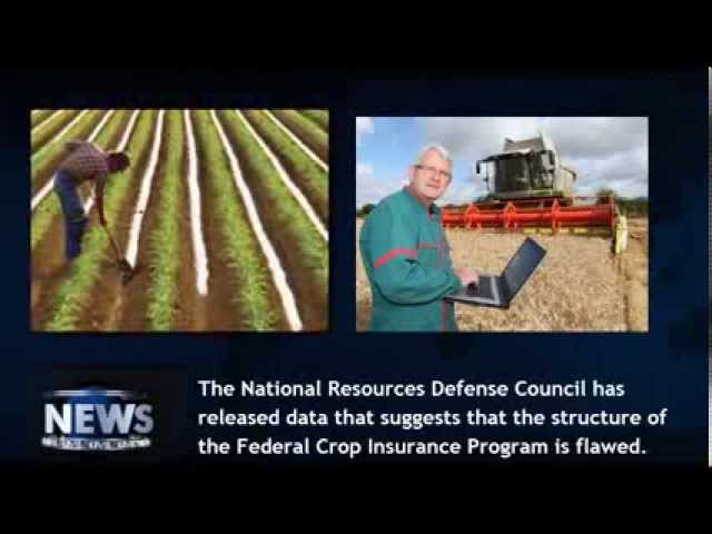 Video thumbnail for Insurance News