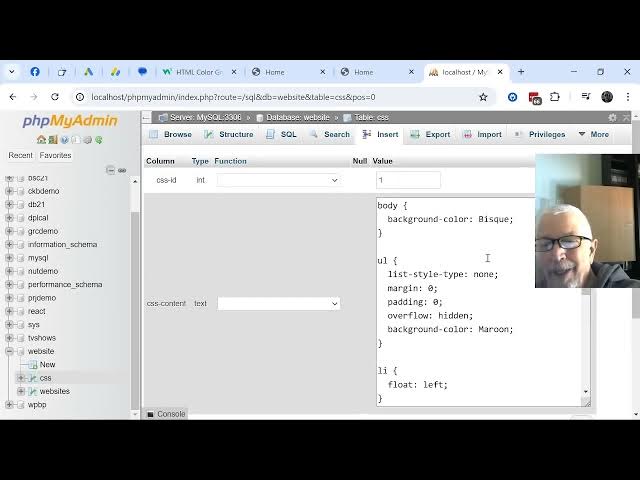 Video thumbnail for 2024 07 19 3:00 pm adding css to the database website