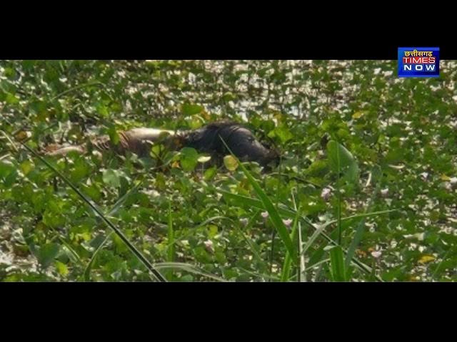 Video thumbnail for बालको थाना के बैच मिक्स प्लांट के समीप मिली लाश, आसपास के इलके में मचा हड़कंप