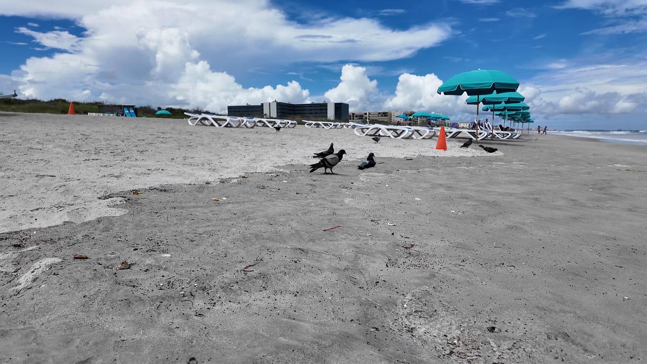 Video thumbnail for US: Sunny day in Cocoa Beach, Florida.
